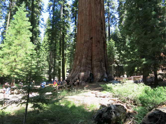 USA_2013-07-07 11-40-37_IMG_1130